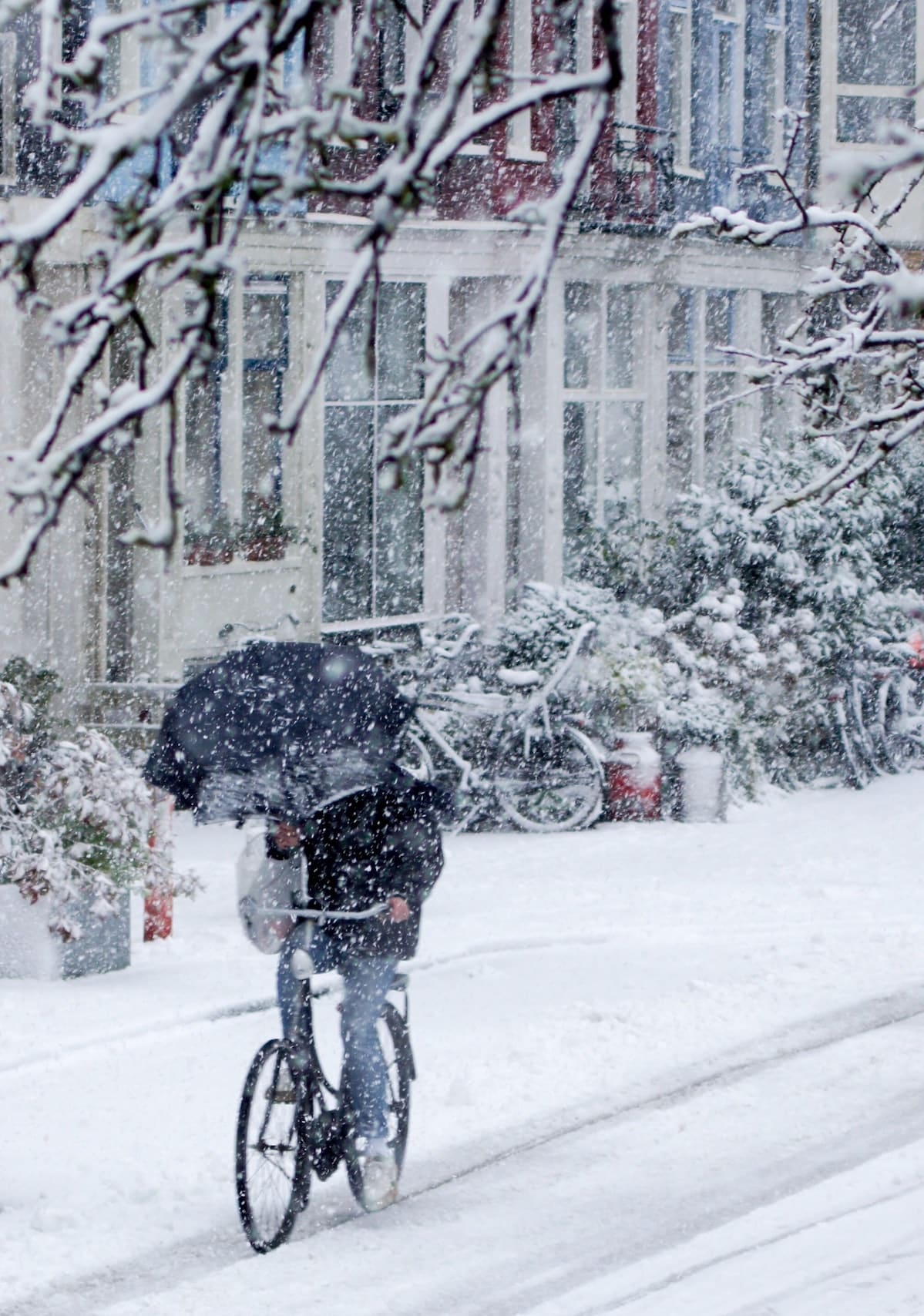 A cyclist carrying an umbrella riding in the snow.